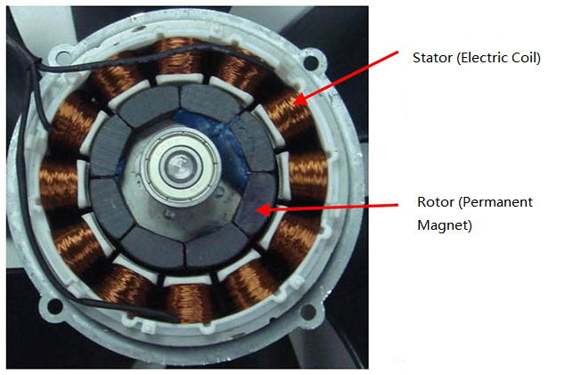 motor stator rotor